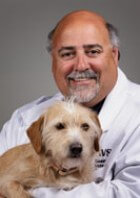 Dr. R. Schick, DVM, DACVD provides Dermatology services at the Veterinary Emergency Referral Center