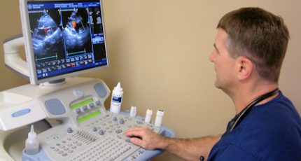 Ultrasound imaging for pets at the Veterinary Emergency Referral Center